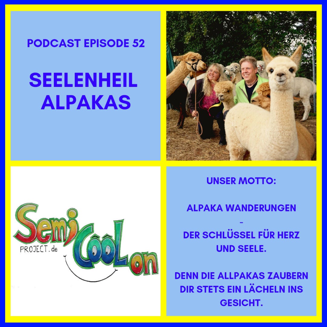 Seelenheil Alpakas - der Schlüssel für Herz und Seele