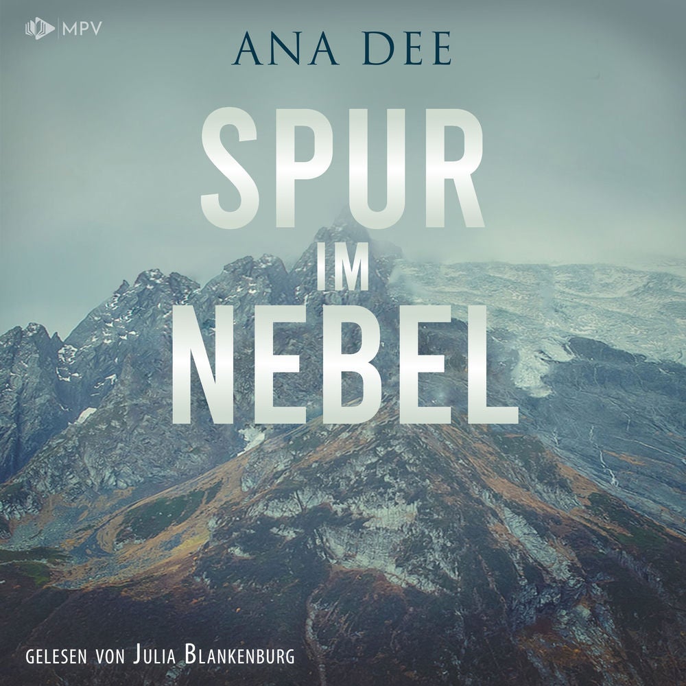 Spur im Nebel