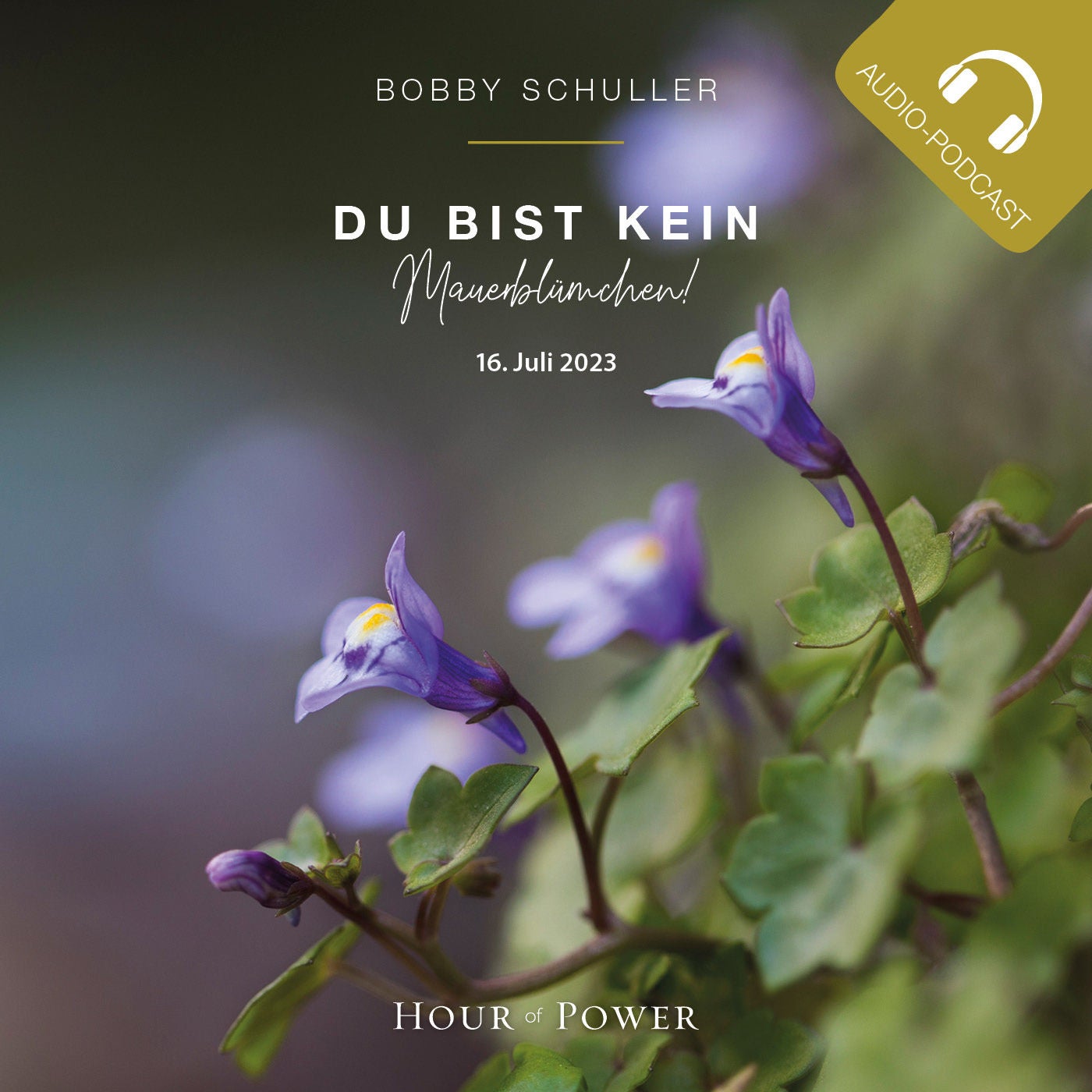 Du bist kein Mauerblümchen! - Predigt von Bobby Schuller