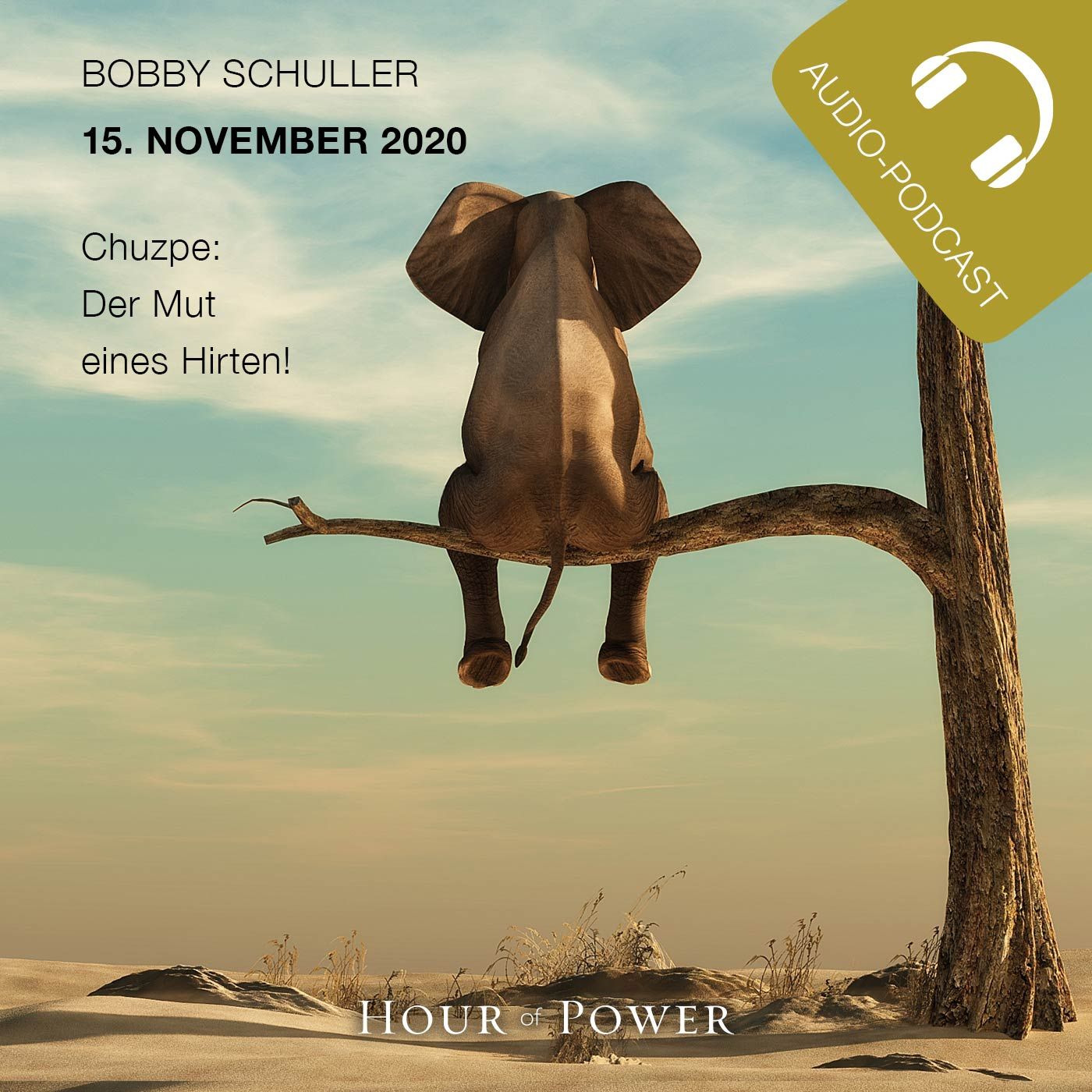 15.11.2020: Bobby Schuller: CHUZPE – Der Mut eines Hirten!