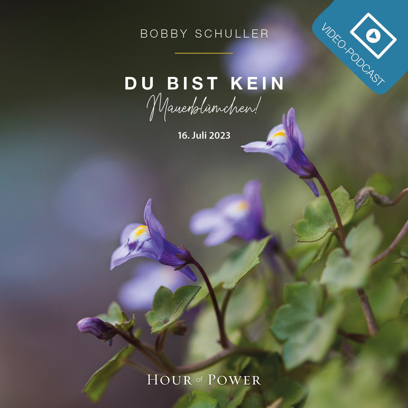 Du bist kein Mauerblümchen! - Predigt von Bobby Schuller
