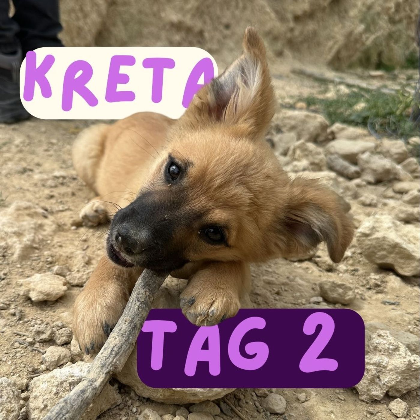 Reisetagebuch Kreta: Tag ZWEI