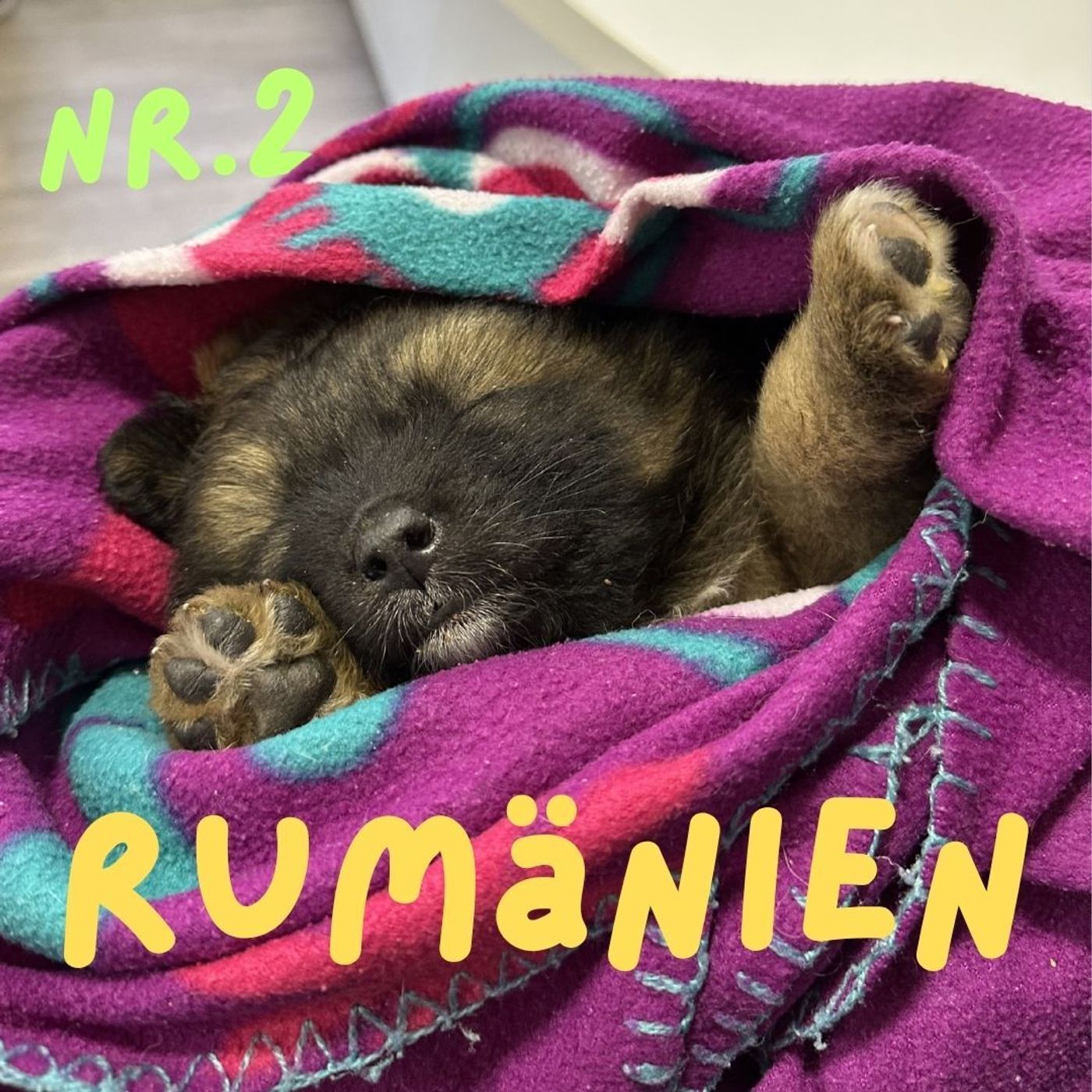 Zurück in Rumänien: Tag ZWEI