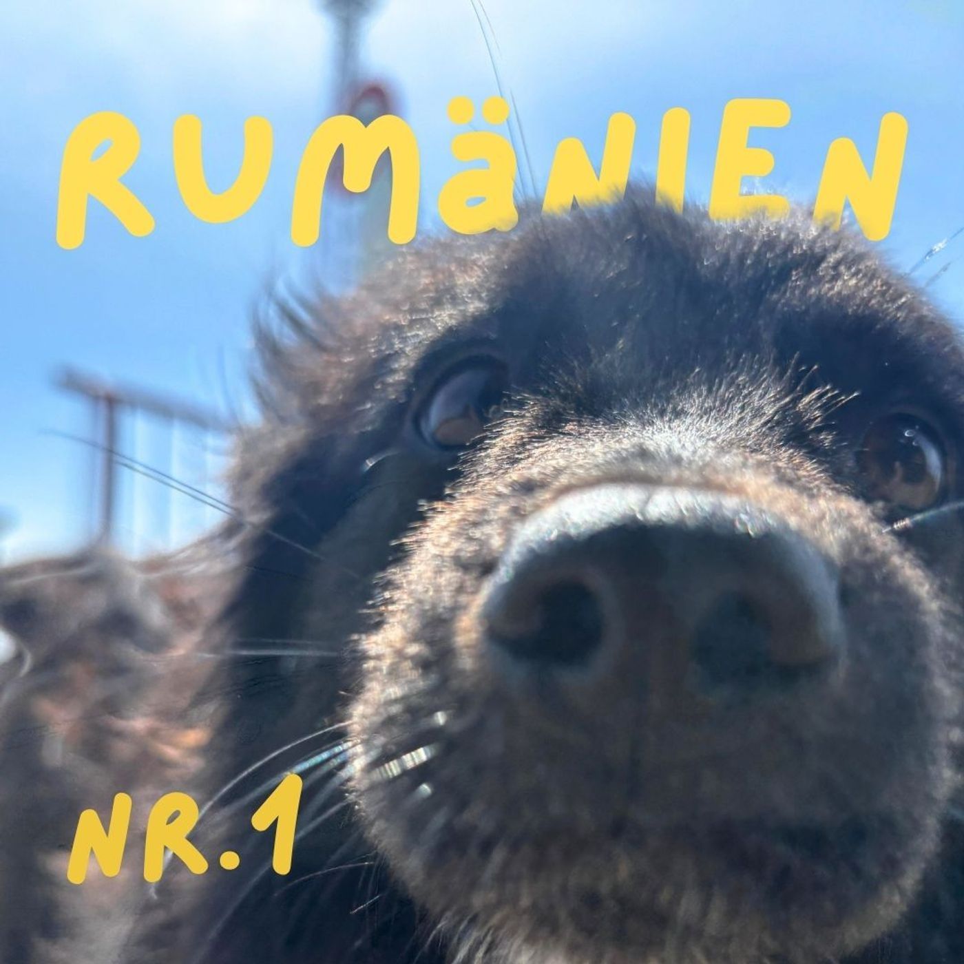Zurück in Rumänien: Tag EINS