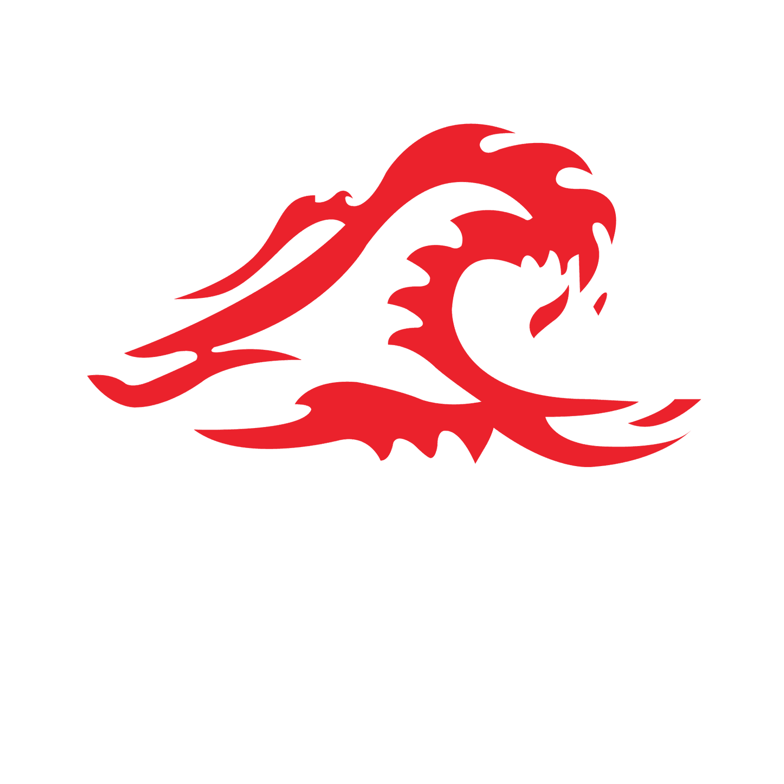 Die Welle
