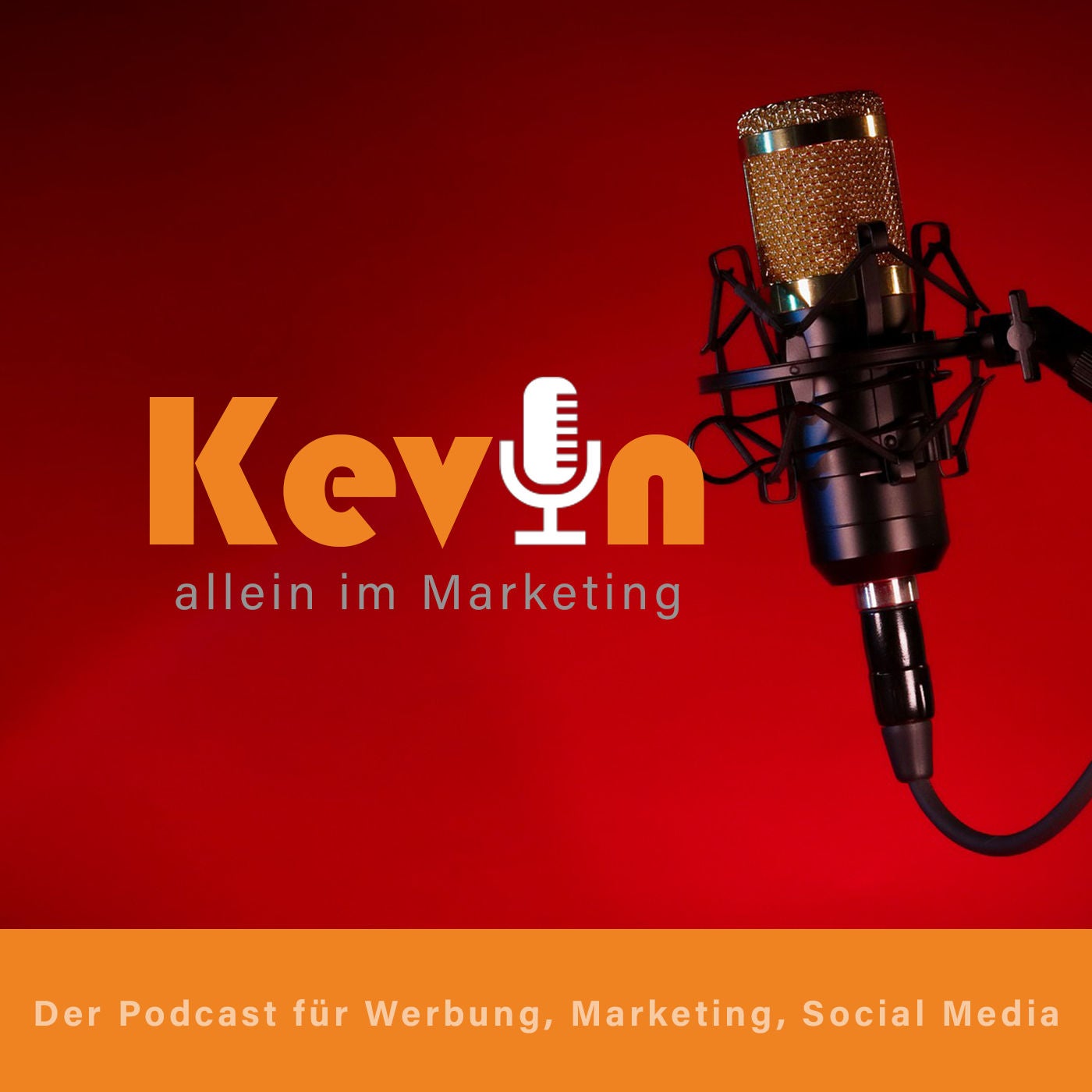 #87 - Microcontent mit Katrin Gildner