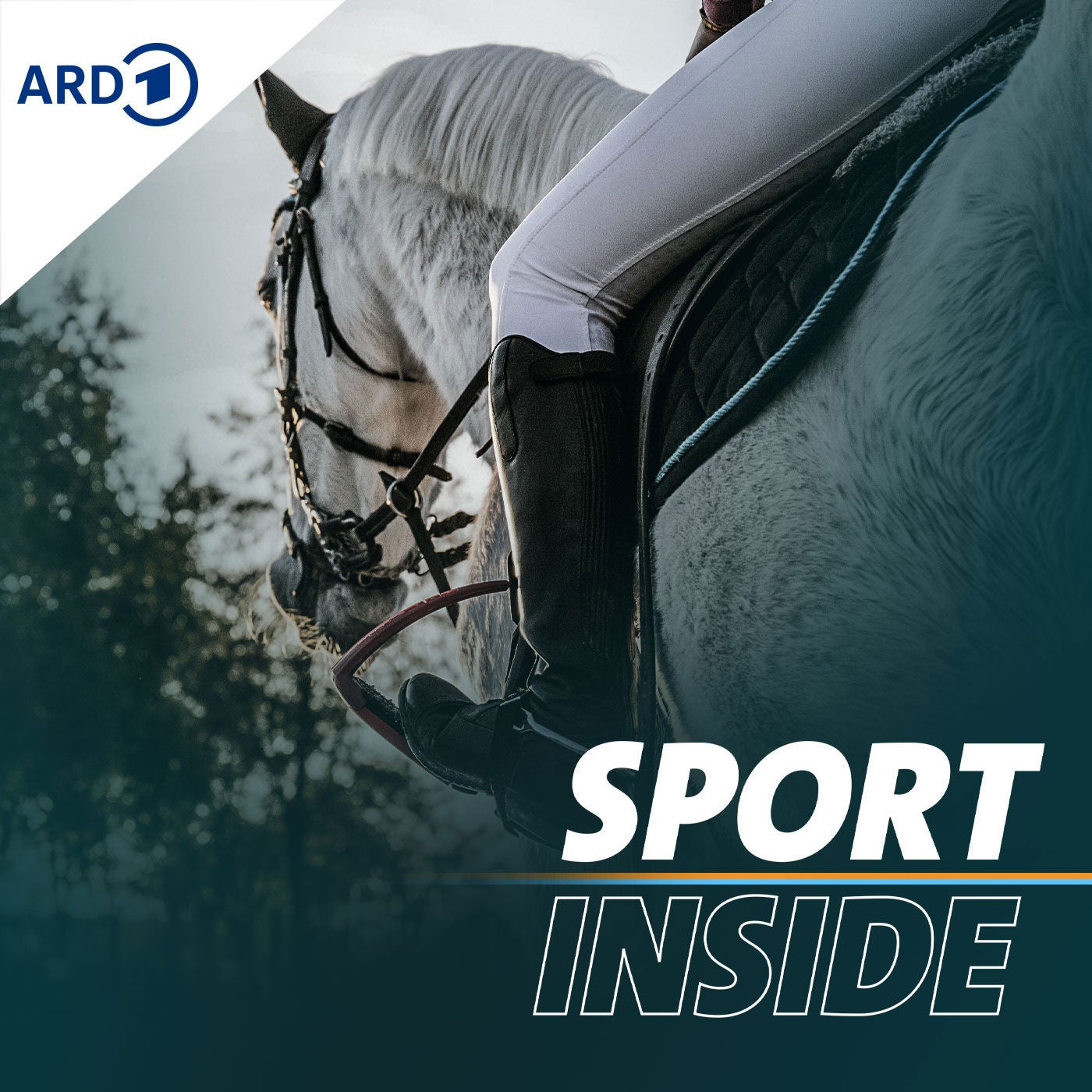 Sexualisierte Gewalt im Reiten