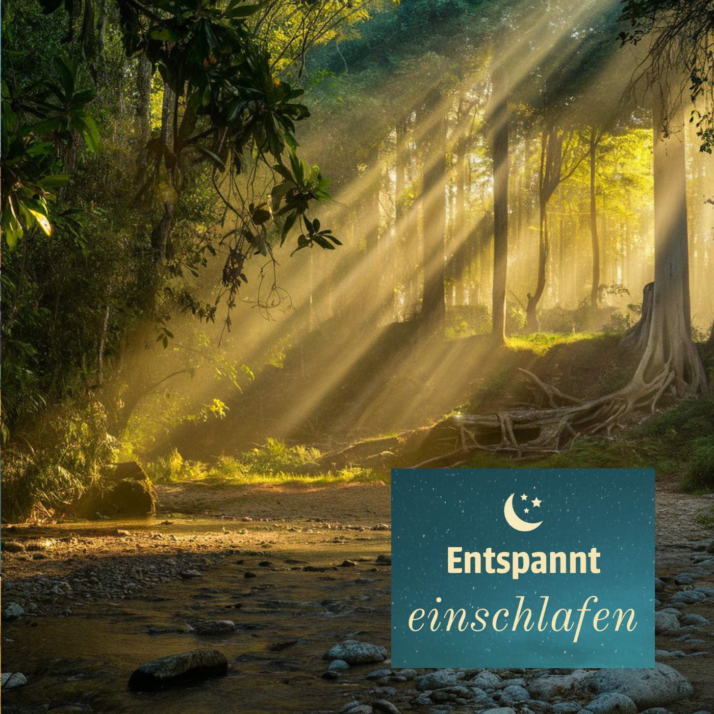 Entspannt einschlafen am Donnerstag, 25.04.24