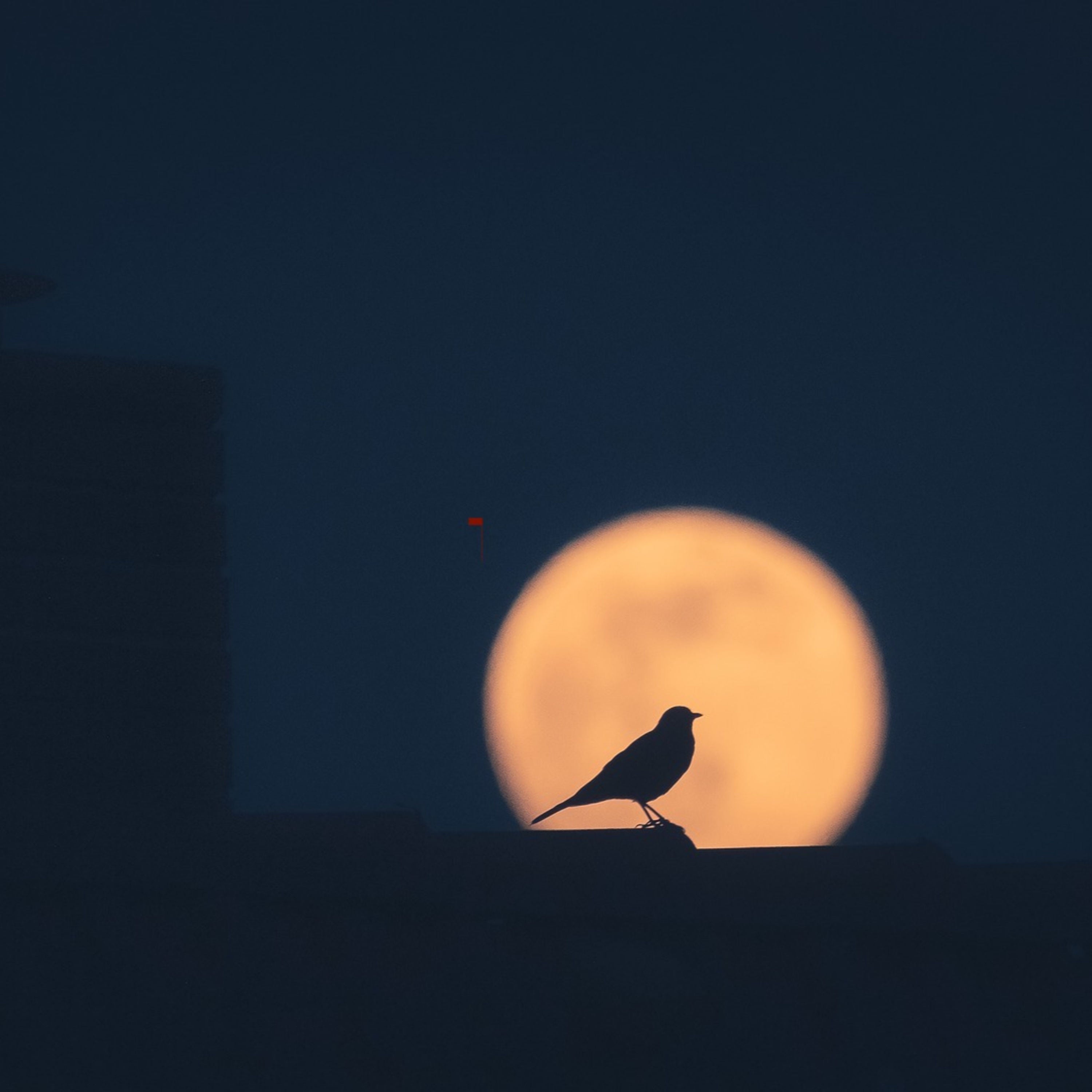 Märchen & Meditation: Der glückliche Prinz