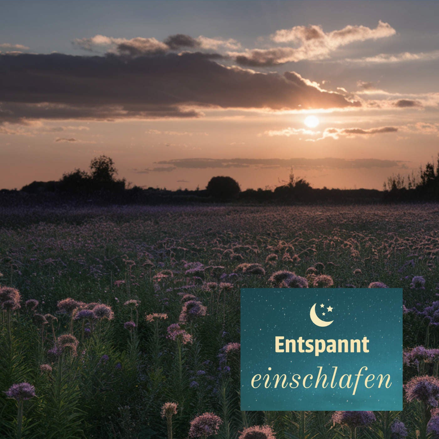 (ohne Musik) Entspannt einschlafen am Dienstag, 23.04.24