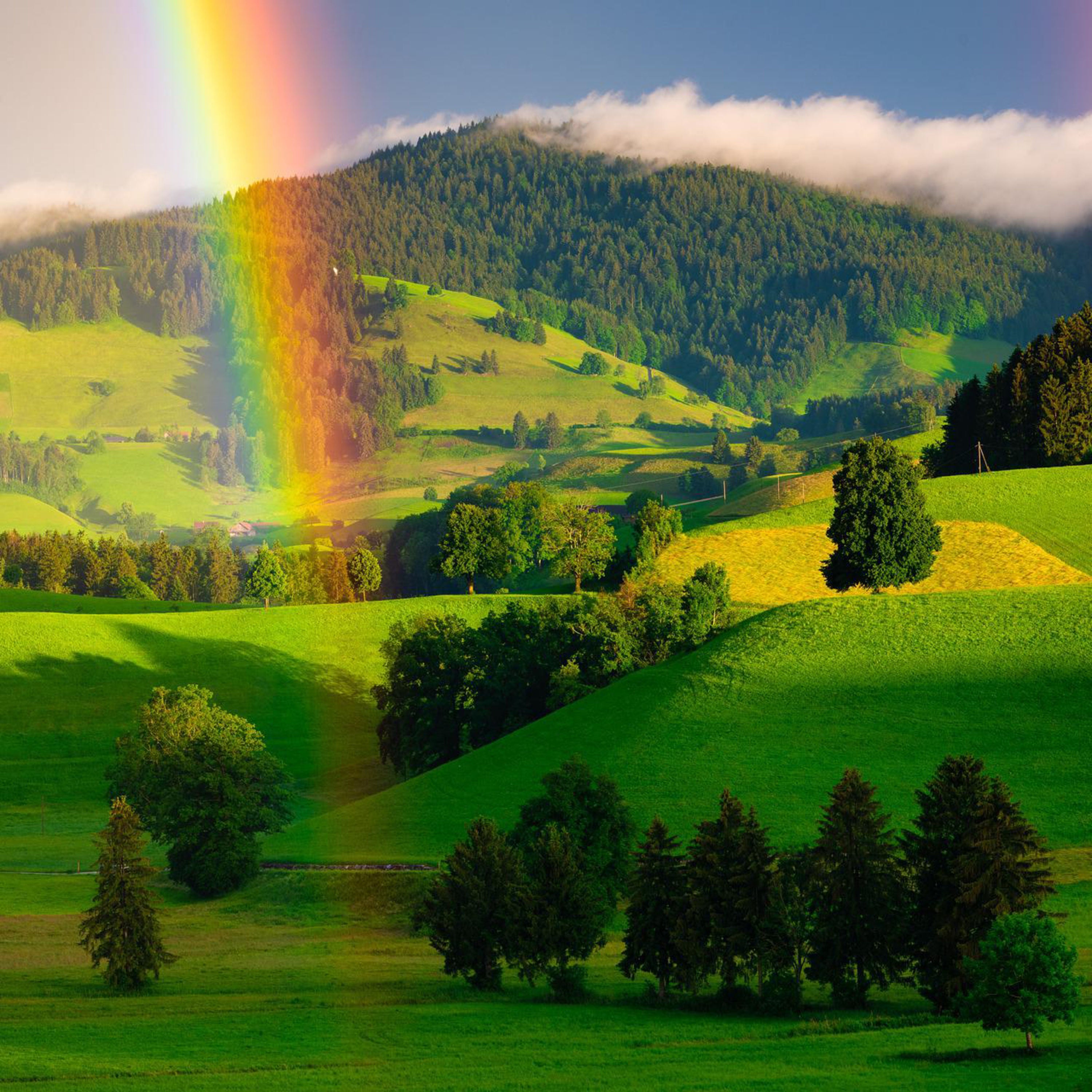 Traumreise: Spaziergang zum Wunderbaum
