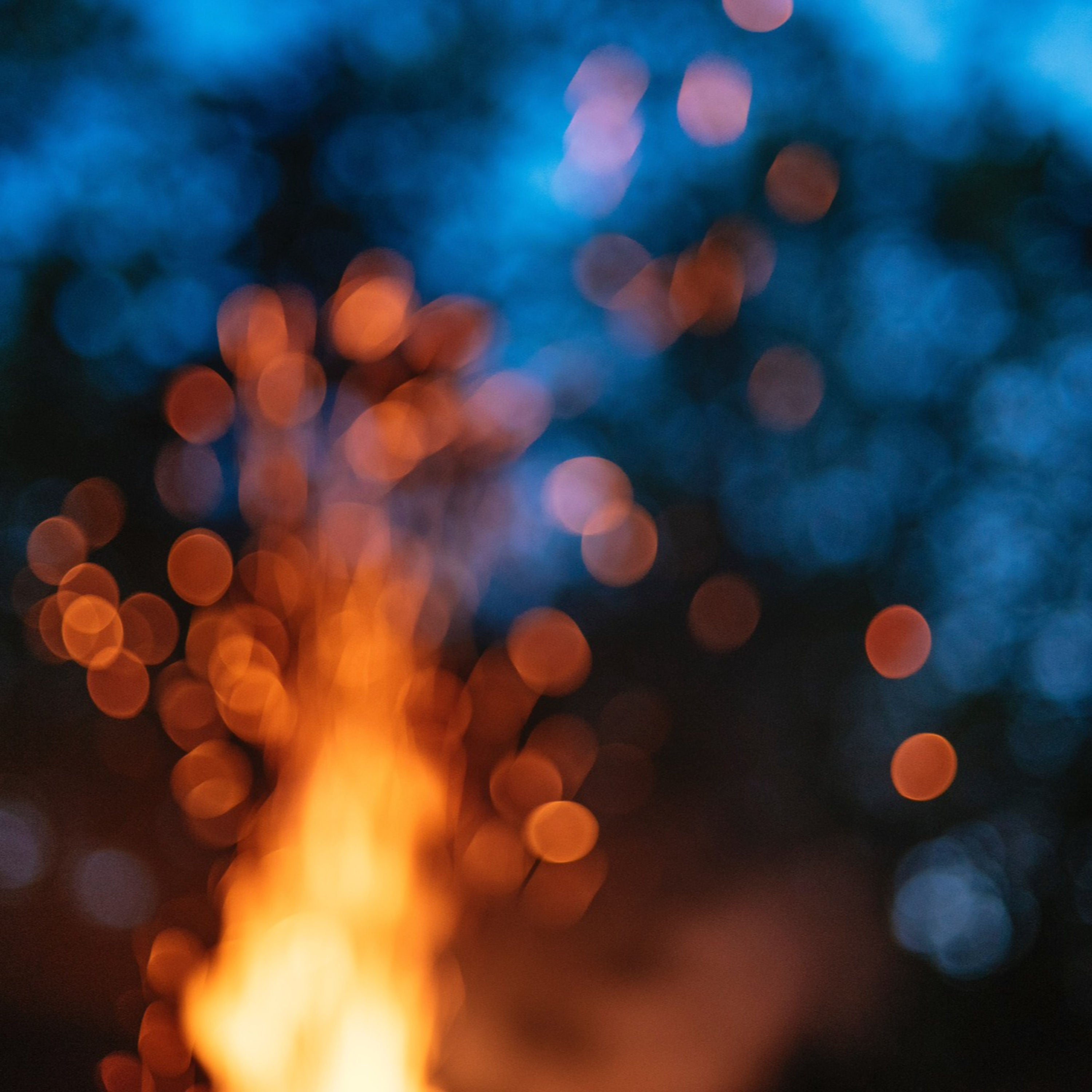 Traumreise: Nachtflug des Phoenix'