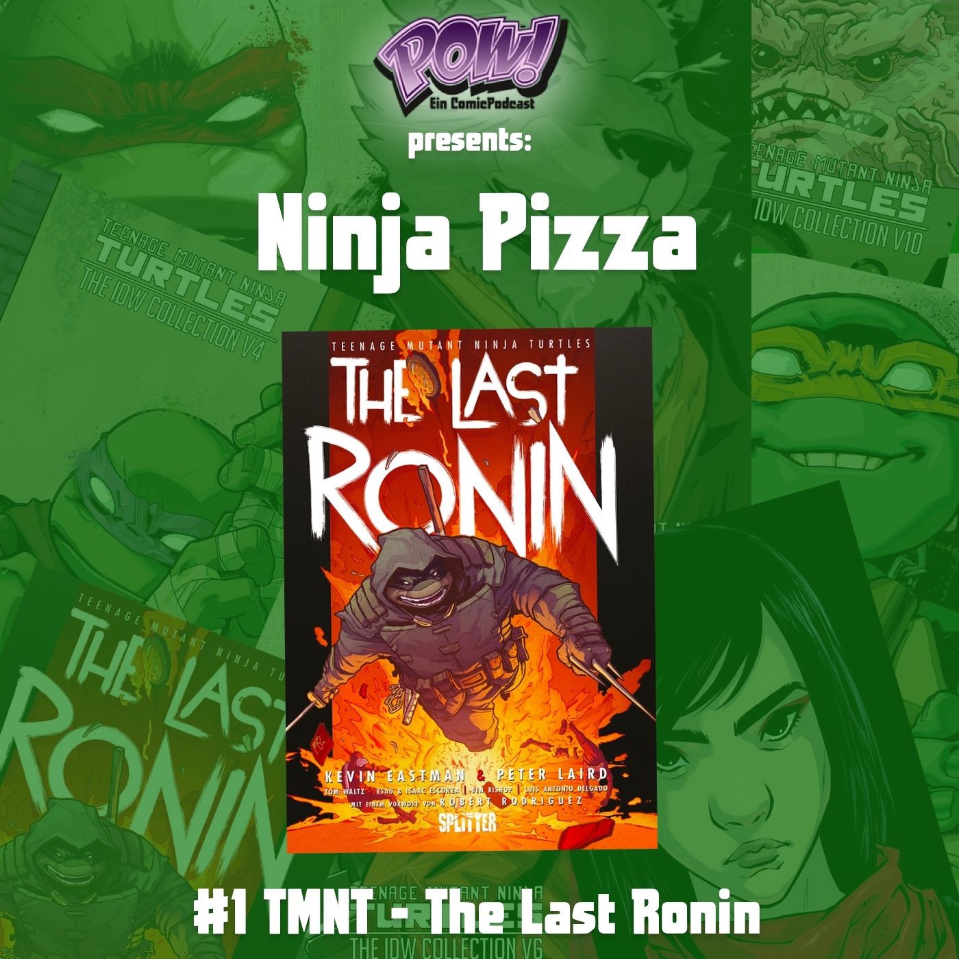 Ninja Pizza - #1 TMNT - The Last Ronin