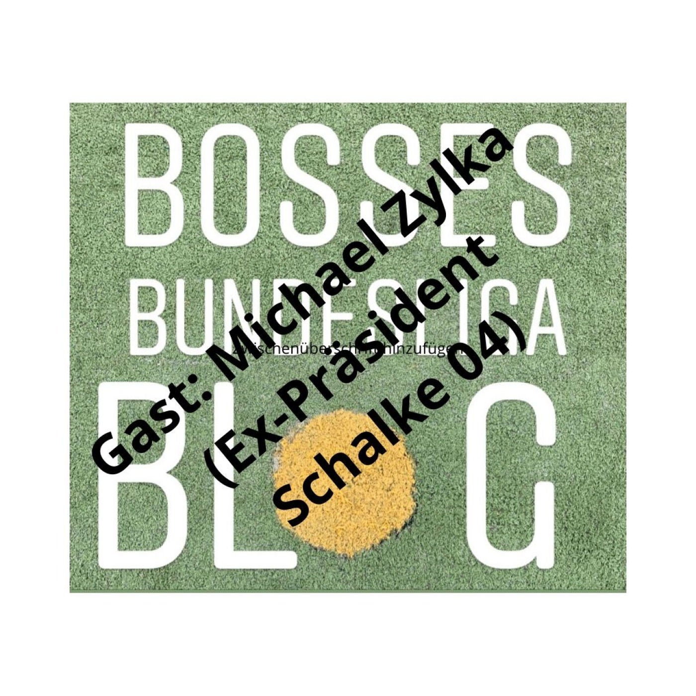 #27 Der 3-Tage-Präsident von Schalke 04 - Gast: Michael Zylka (Ex-Präsident Schalke 04)