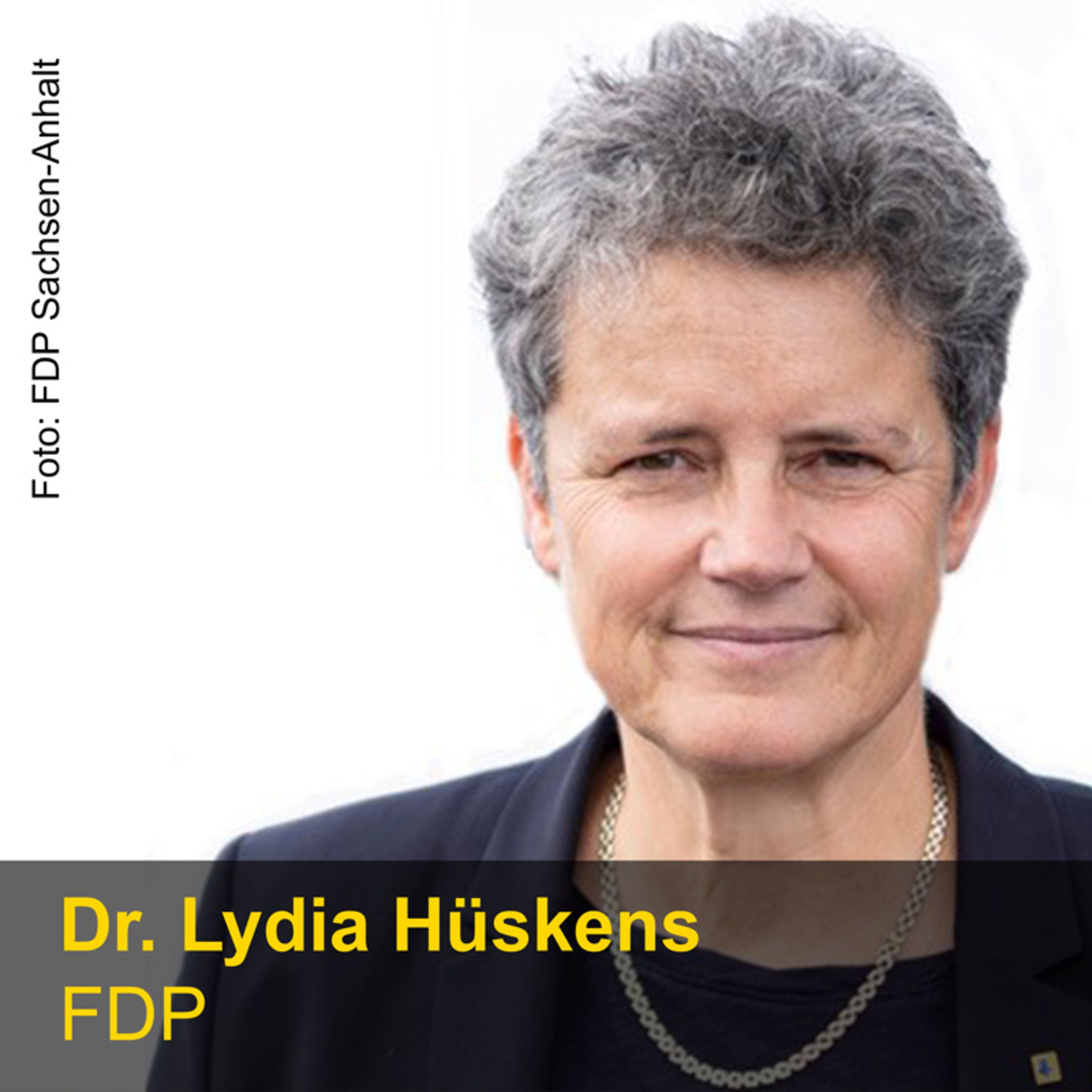 FDP - Dr. Lydia Hüskens - Spitzenkandidaten zur Landtagswahl