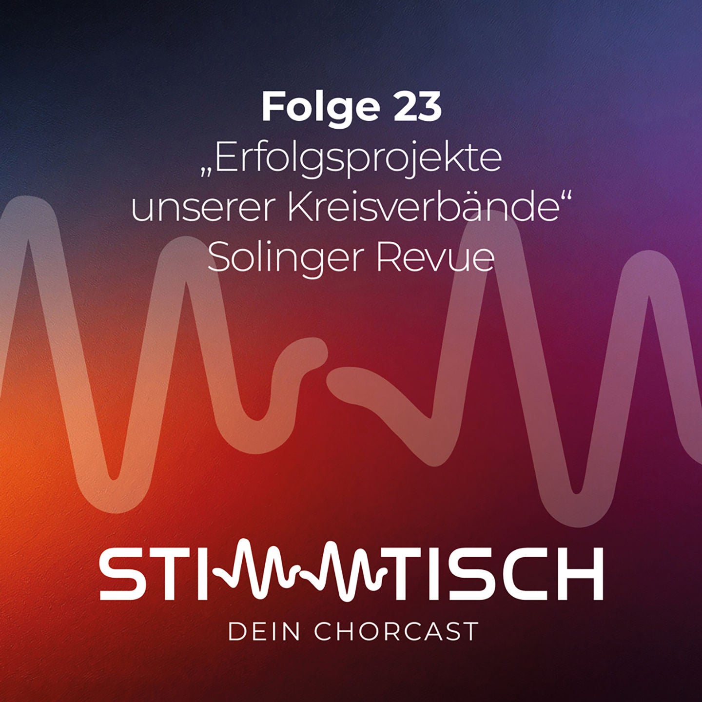 „Erfolgsprojekte unserer Kreisverbände“ Solinger Revue
