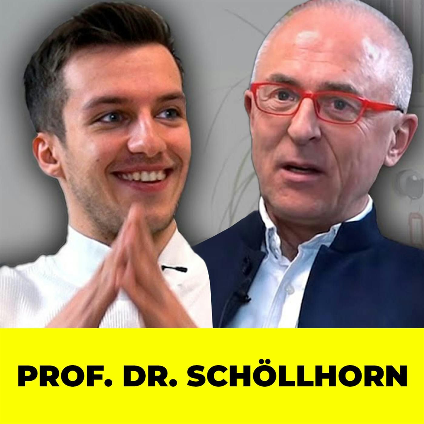 PROF. DR. SCHÖLLHORN über differenzielles Lernen, Elektrosmog, Qi Kontrolle und Meditation