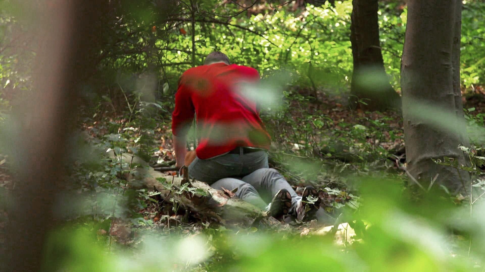 Der Sex-Mörder / Mord am Maisfeld
