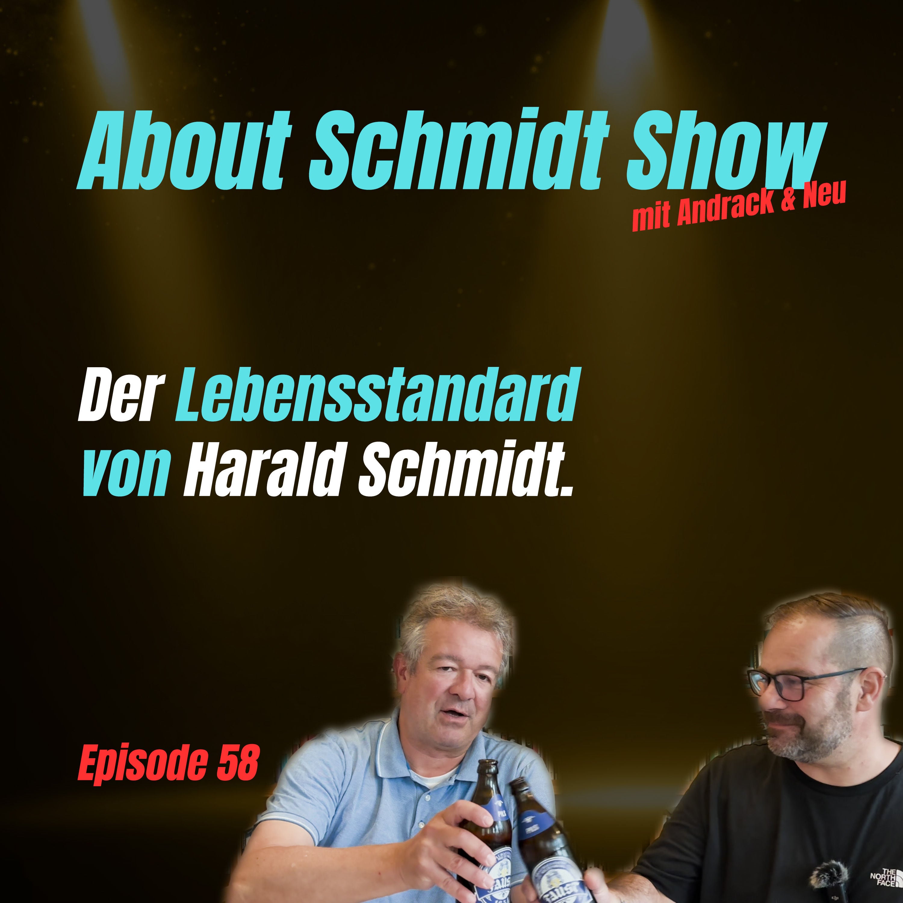 Der Lebensstandard von Harald Schmidt