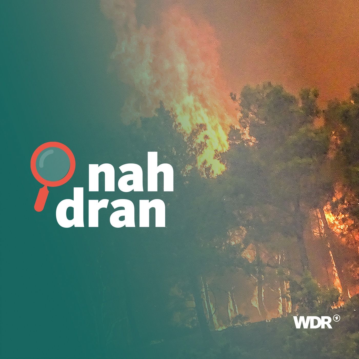 Hitze und Waldbrände - was bedeutet das für Griechenland? I nah dran