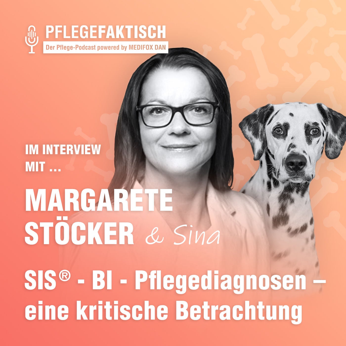 #117 SIS® - BI - Pflegediagnosen – eine kritische Betrachtung