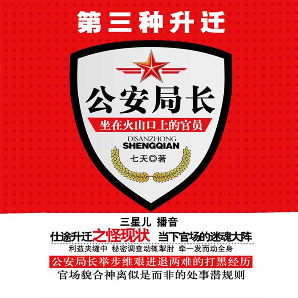 第三种升迁：公安局长