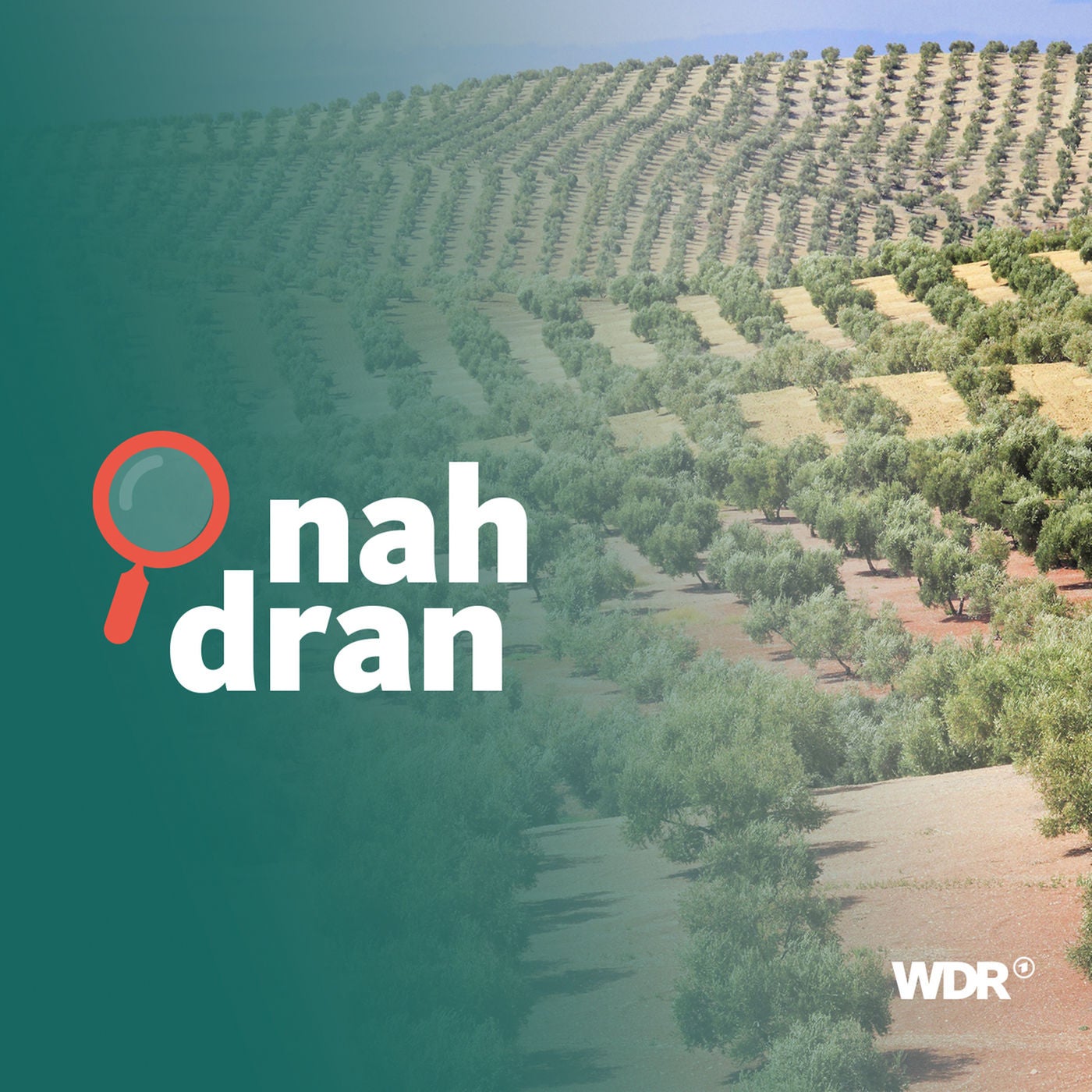 Dürre in Spanien - Vertrocknet Europas Gemüsegarten?