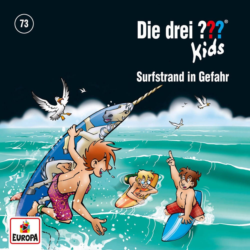 073/Surfstrand in Gefahr