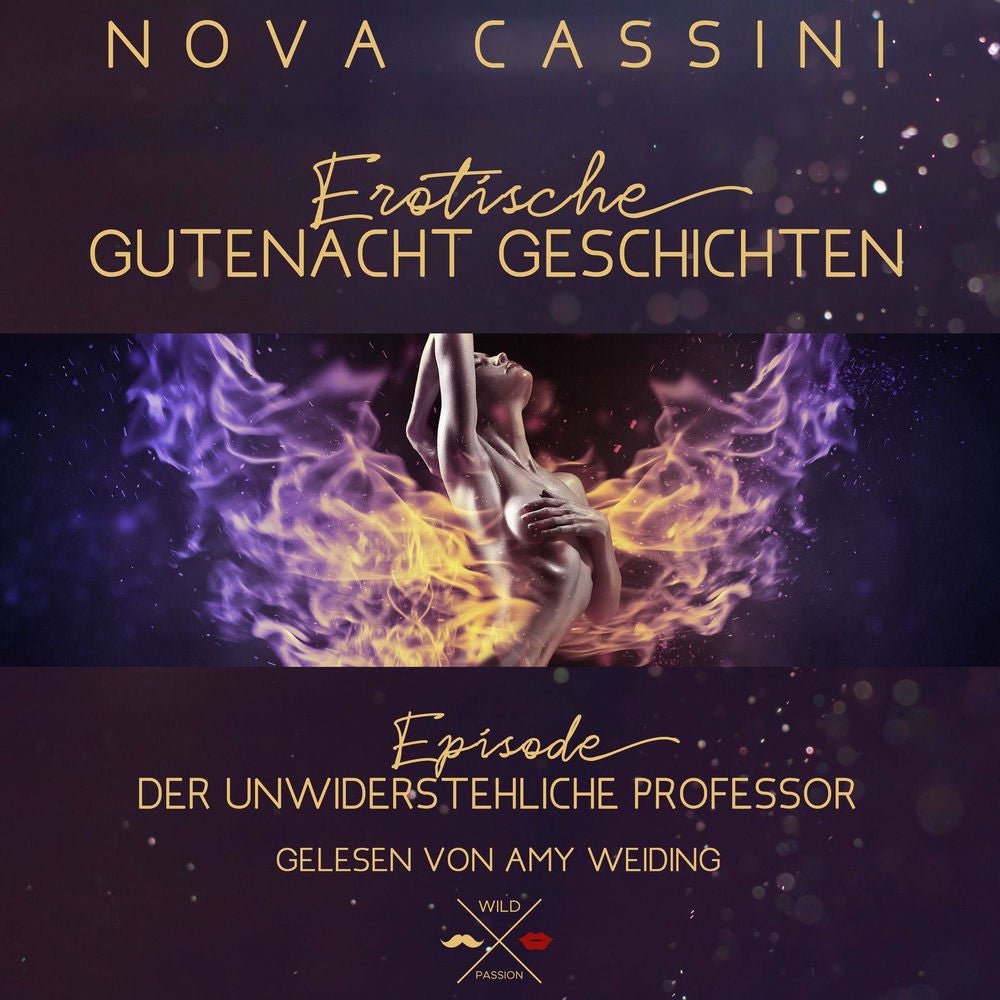 Der unwiderstehliche Professor - Erotische Gutenacht Geschichten, Band 2