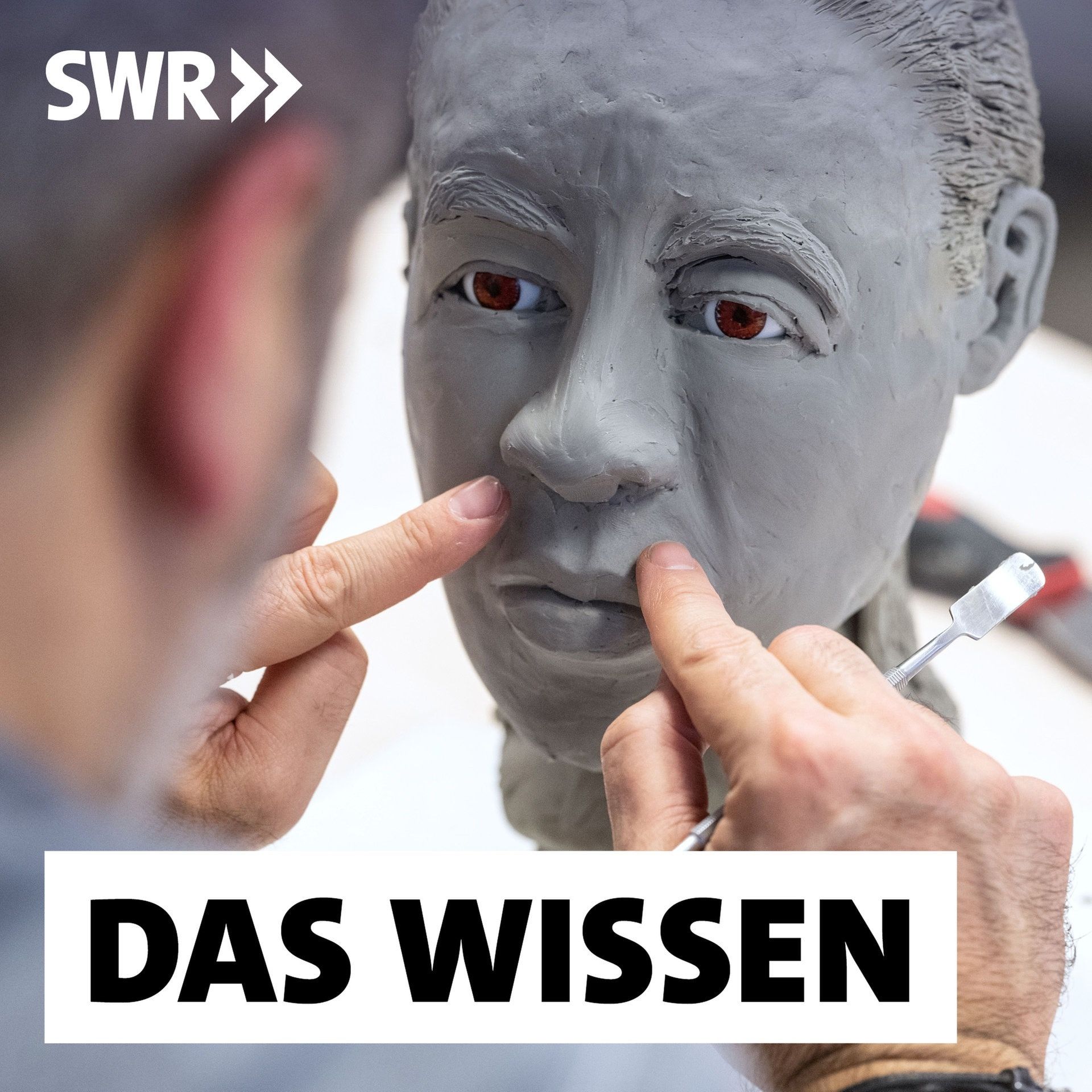 Cold Cases – Wie Verbrechen doch noch aufgeklärt werden