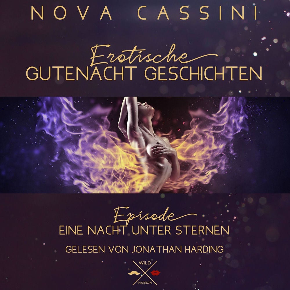 Eine Nacht unter Sternen - Erotische Gutenacht Geschichten, Band 4