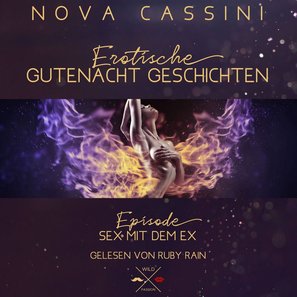 Sex mit dem Ex - Erotische Gutenacht Geschichten, Band 10