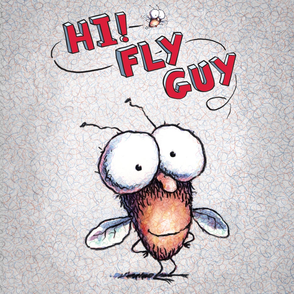 Hi, Fly Guy