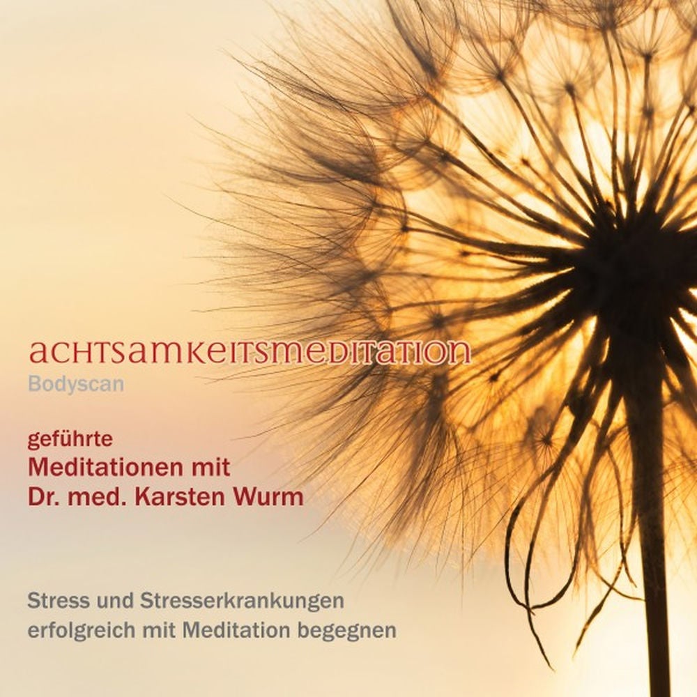 Achtsamkeitsmeditation - Bodyscan - Stress und Stresserkrankungen erfolgreich mit Meditation begegnen
