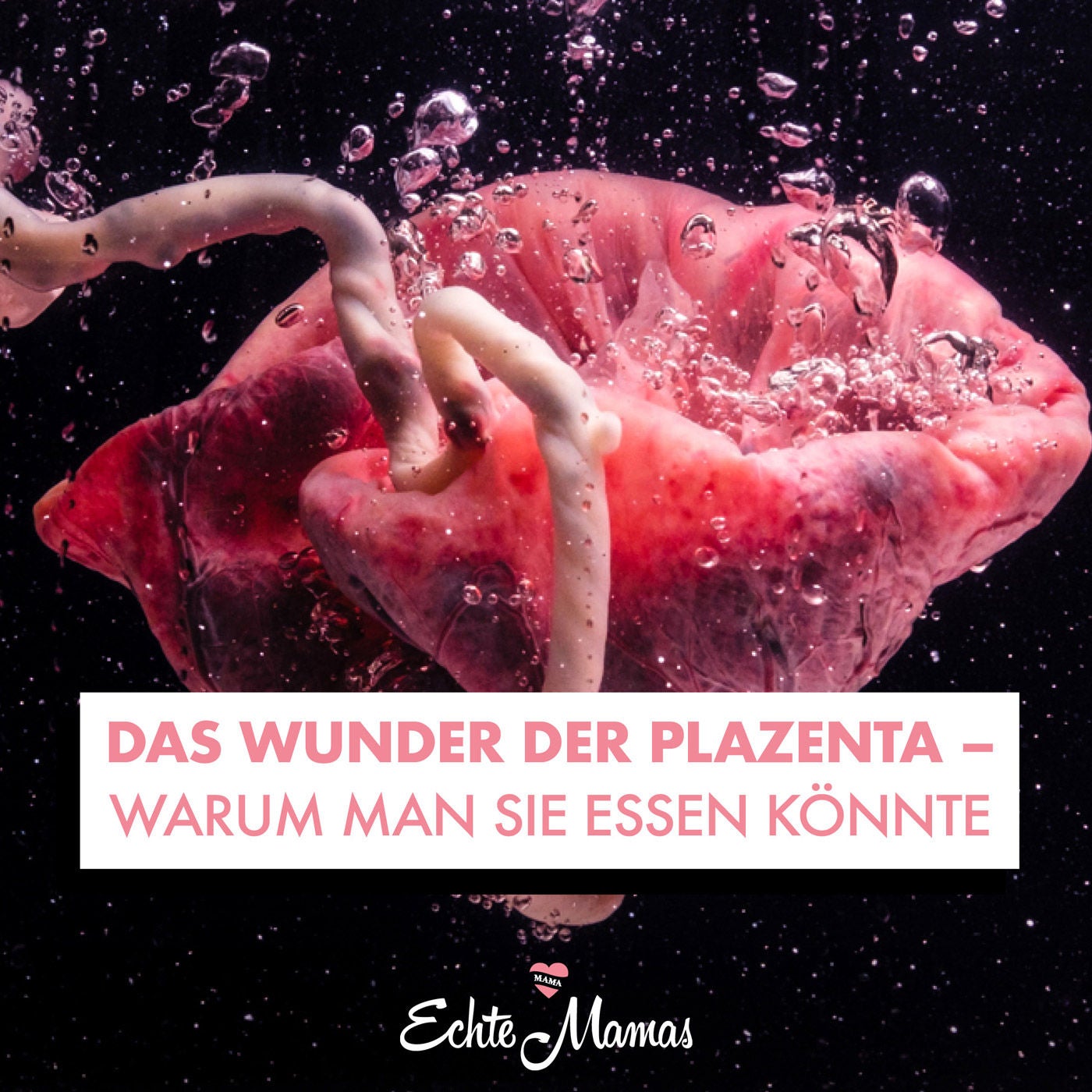 Das Wunder der Placenta