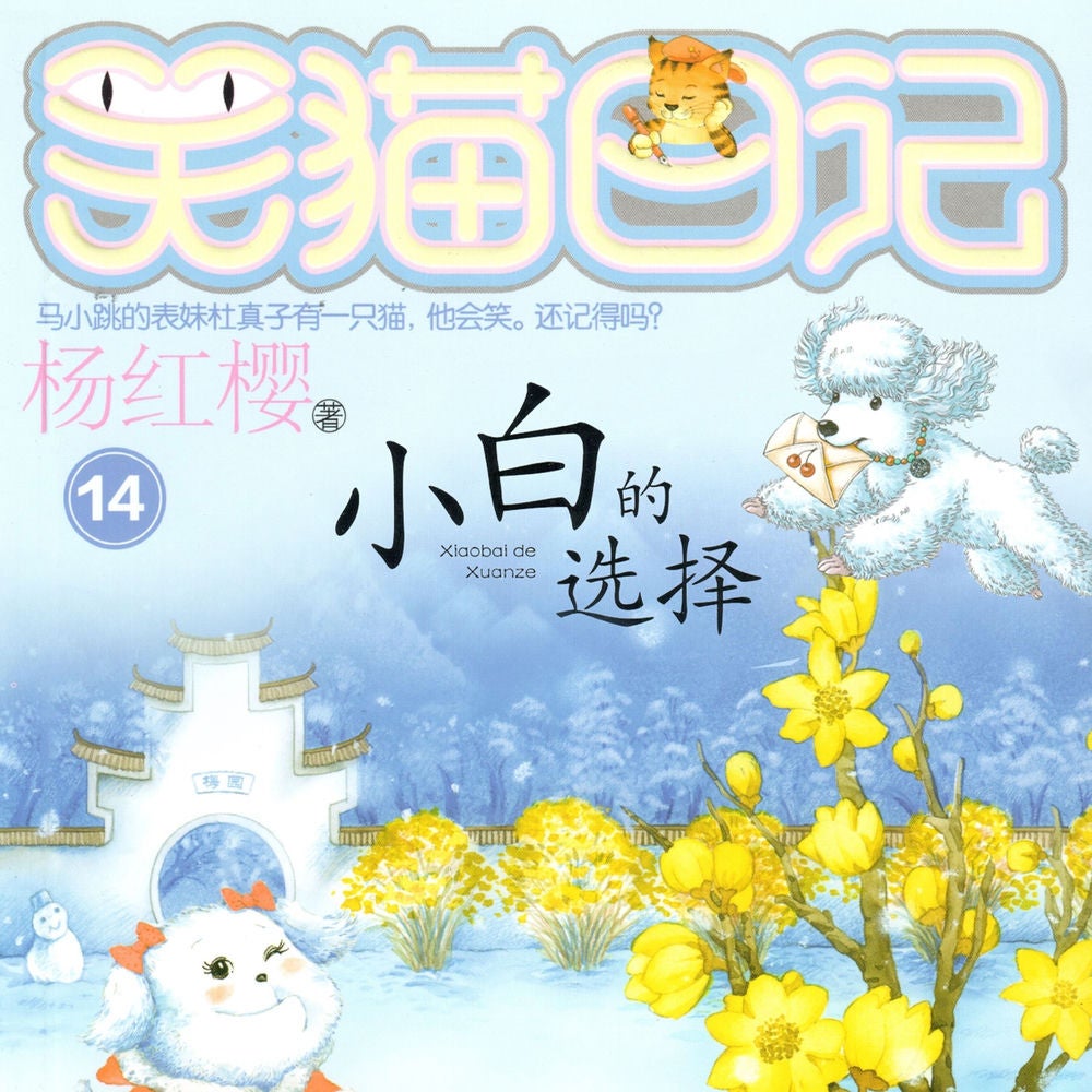 小白的选择