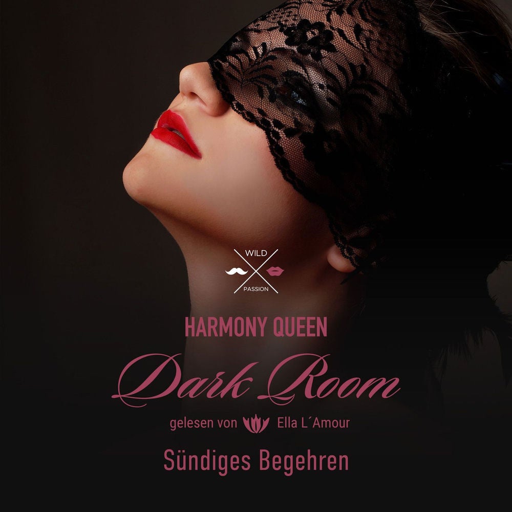 Sündiges Begehren - Dark Room, Band 2