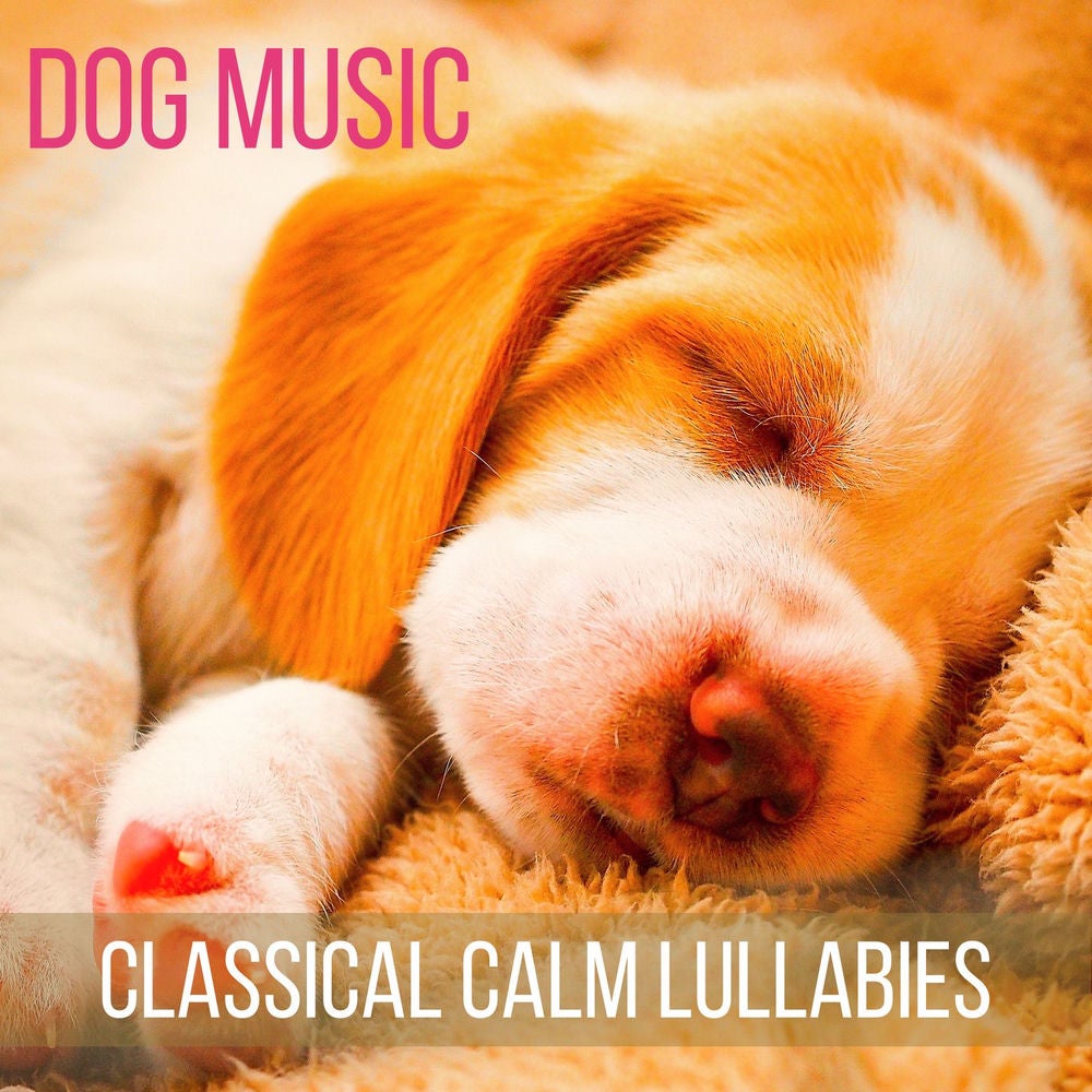 Dog Music