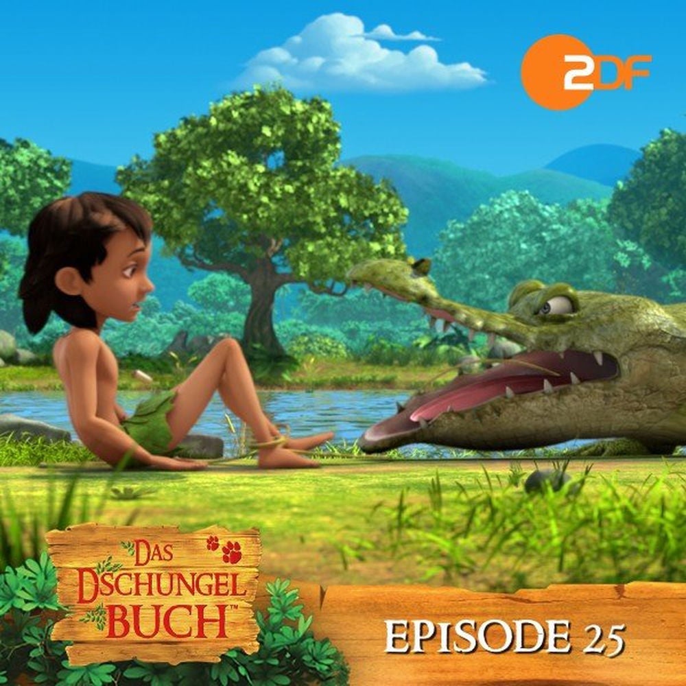 Episode 25: Reingelegt! (Das Original Hörspiel zur TV Serie)