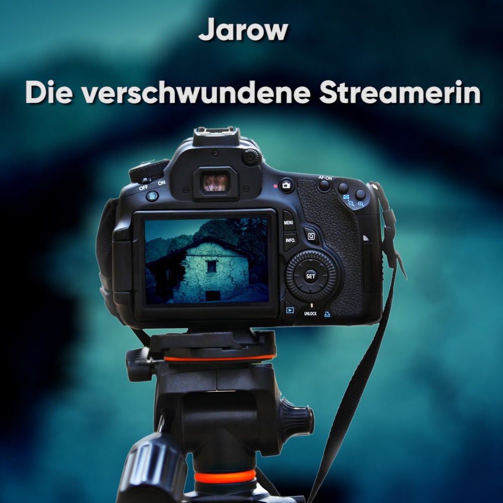 Die verschwundene Streamerin