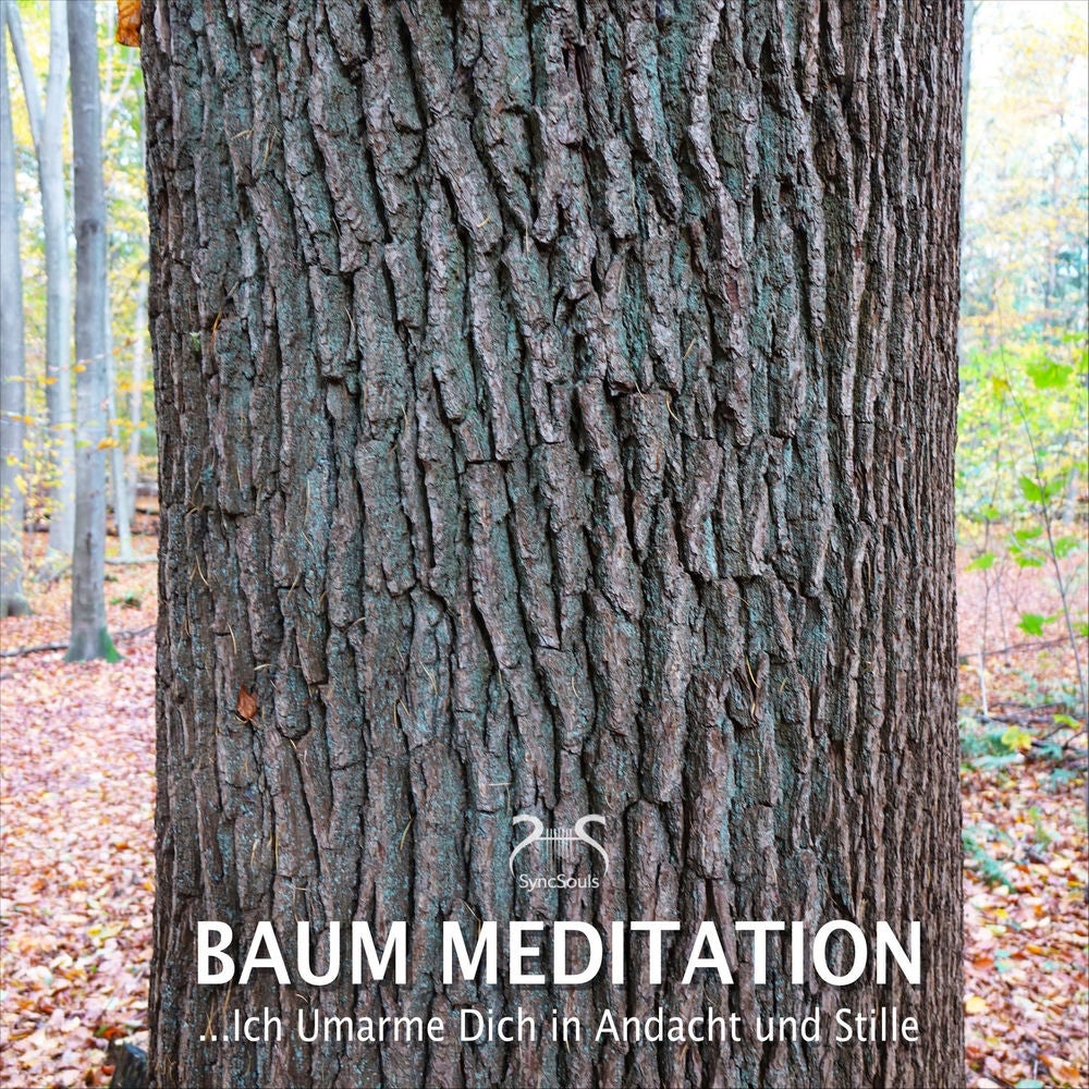 Baum Meditation: Ich Umarme dich in Andacht und Stille