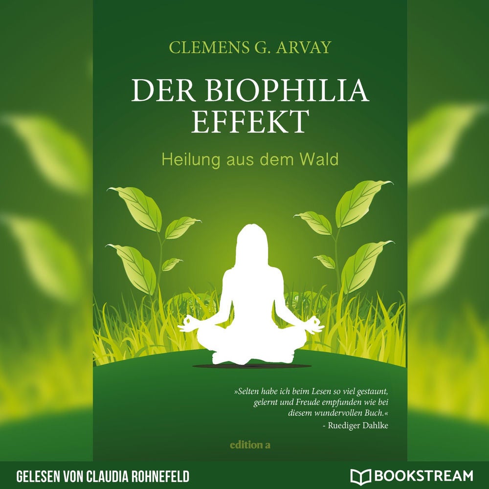 Der Biophilia-Effekt - Heilung aus dem Wald