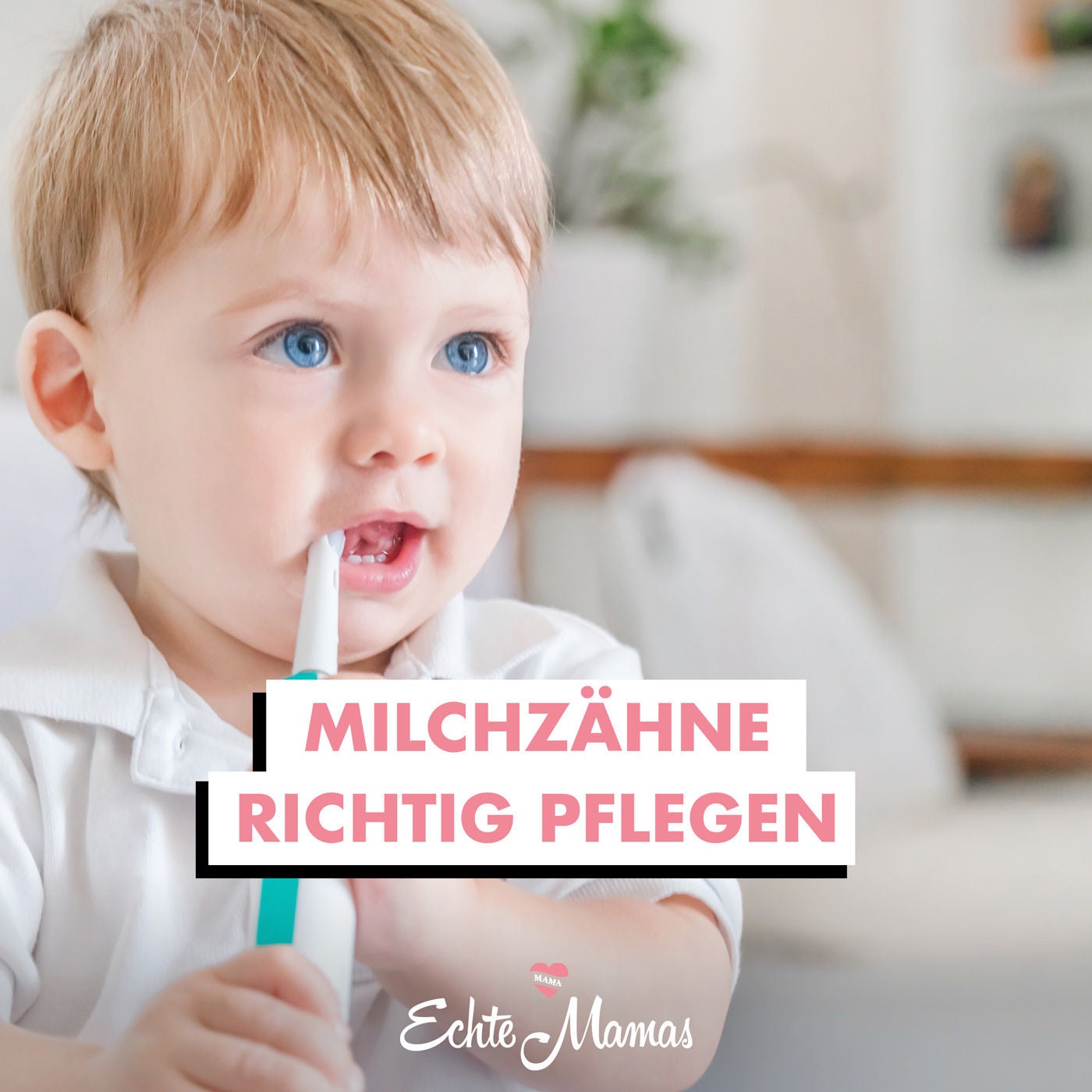 Milchzähne richtig pflegen