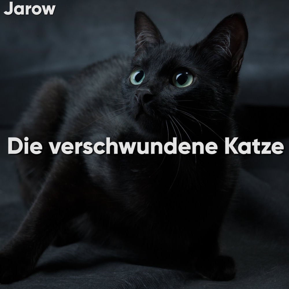 Die verschwundene Katze