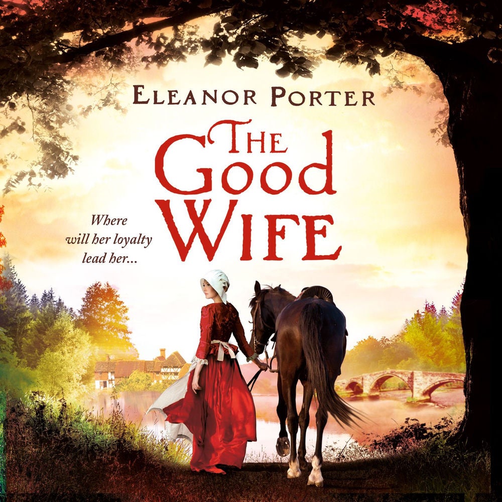 The Good Wife - A historical tale of love, alchemy, courage and change