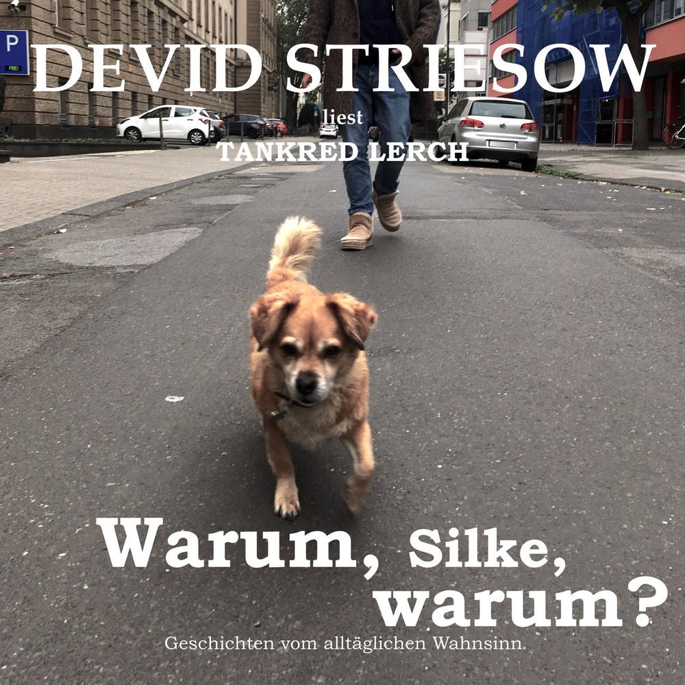 Warum, Silke, warum? - Geschichten vom alltäglichen Wahnsinn