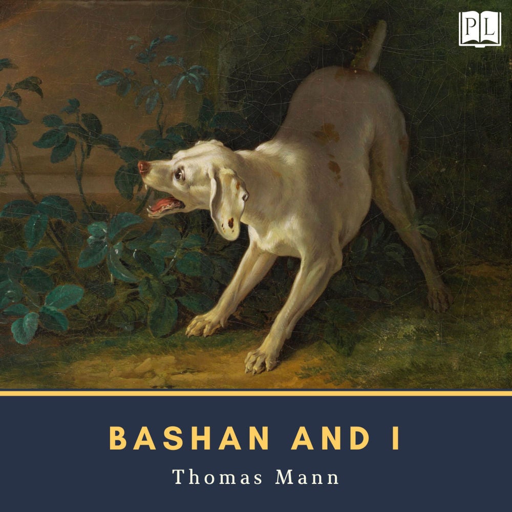 Bashan and I