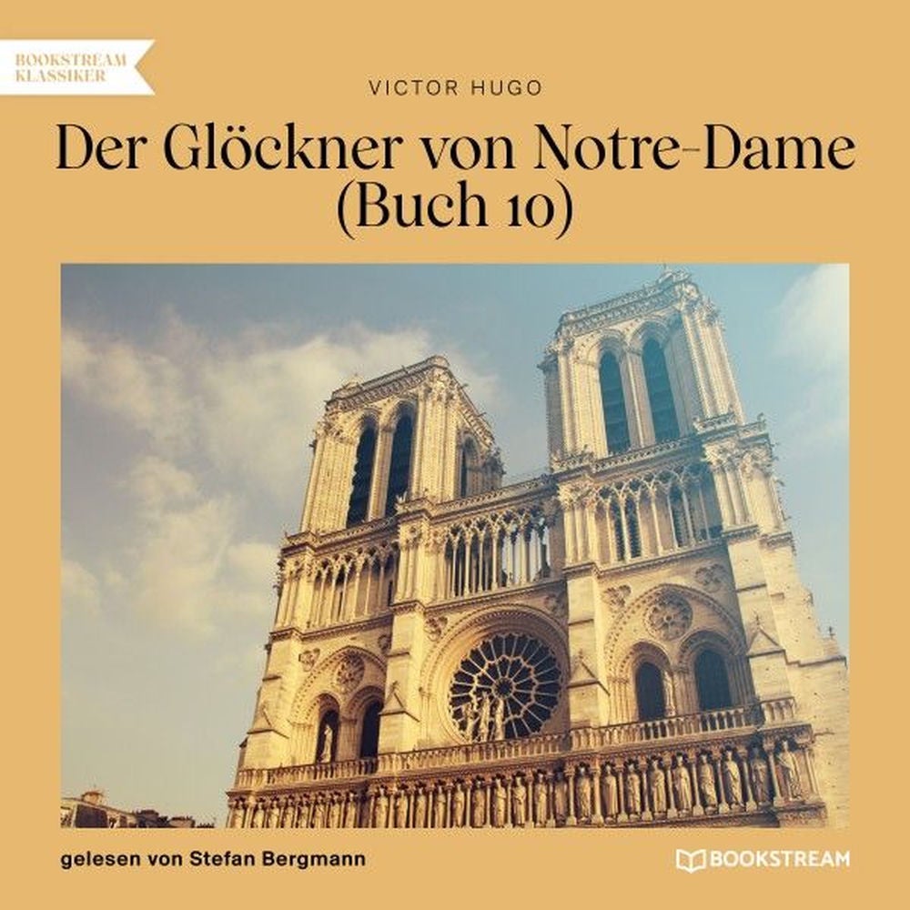 Der Glöckner von Notre-Dame, Buch 10