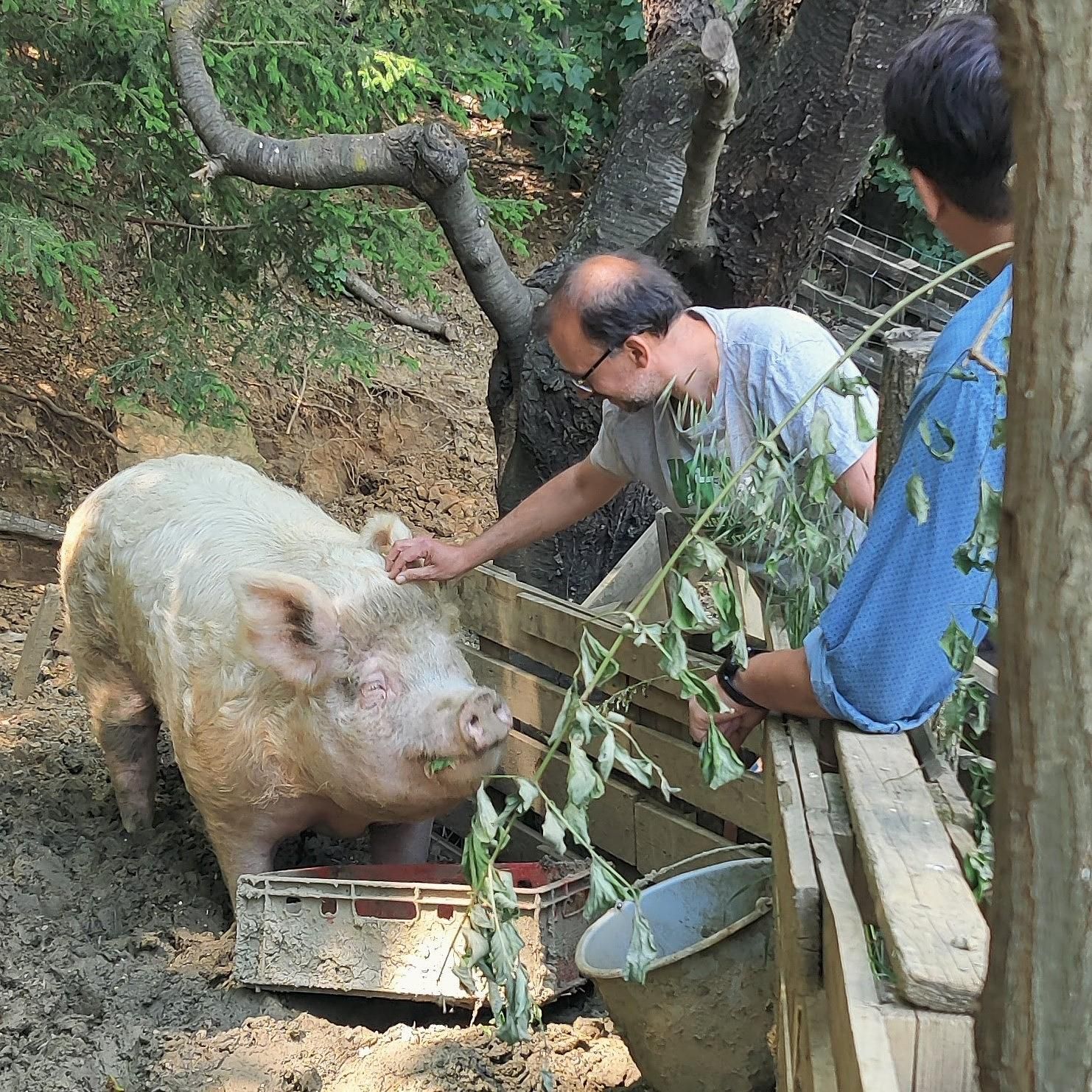 B2P039 David Richter (VGT) - Mit Ruhe und Megafon auf der Seite der Tiere