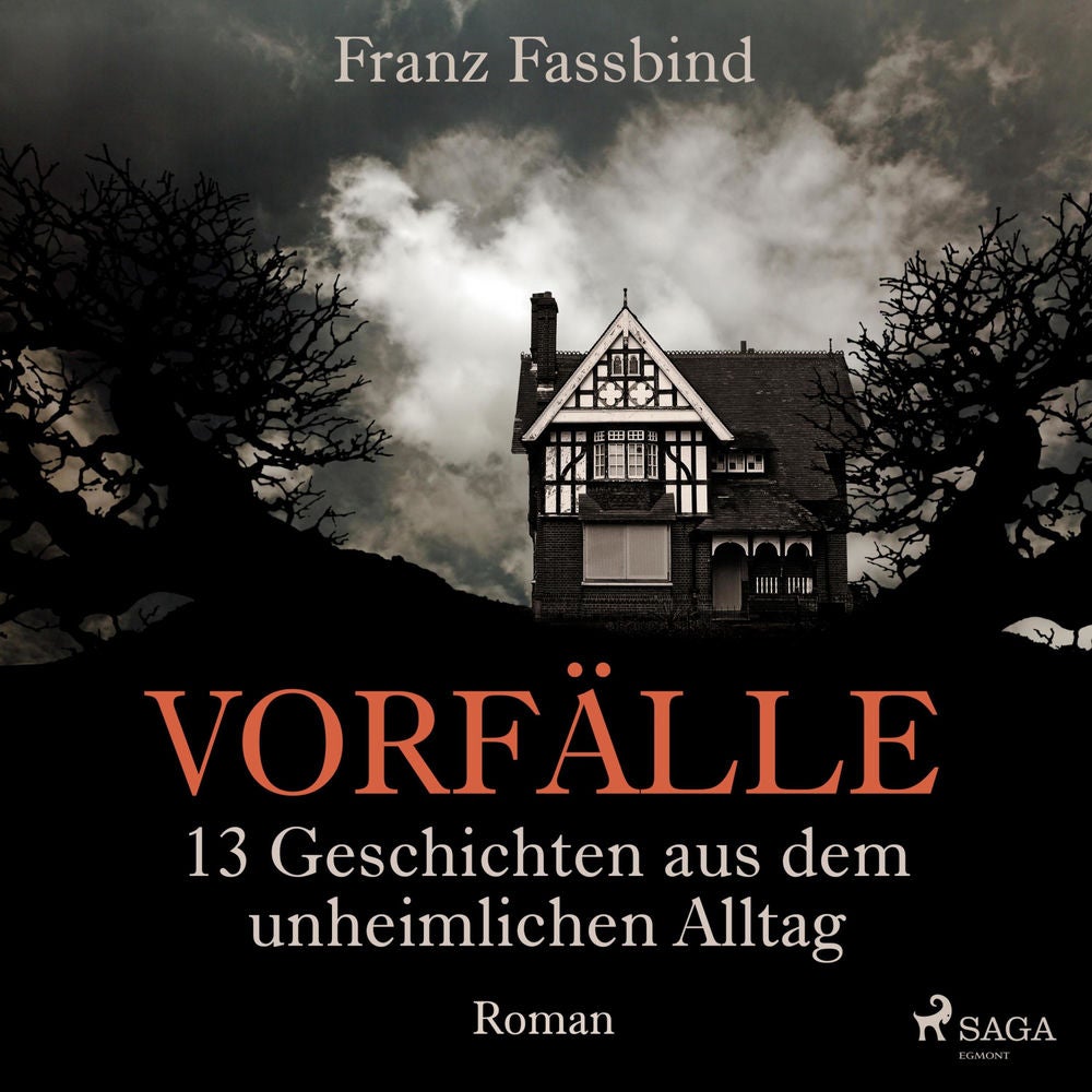 Vorfälle. 13 Geschichten aus dem unheimlichen Alltag (Ungekürzt)